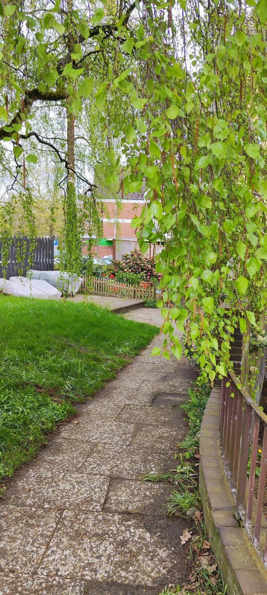 Ferienwohnung Im Herzen Der Lueneburger Heide سولتو المظهر الخارجي الصورة